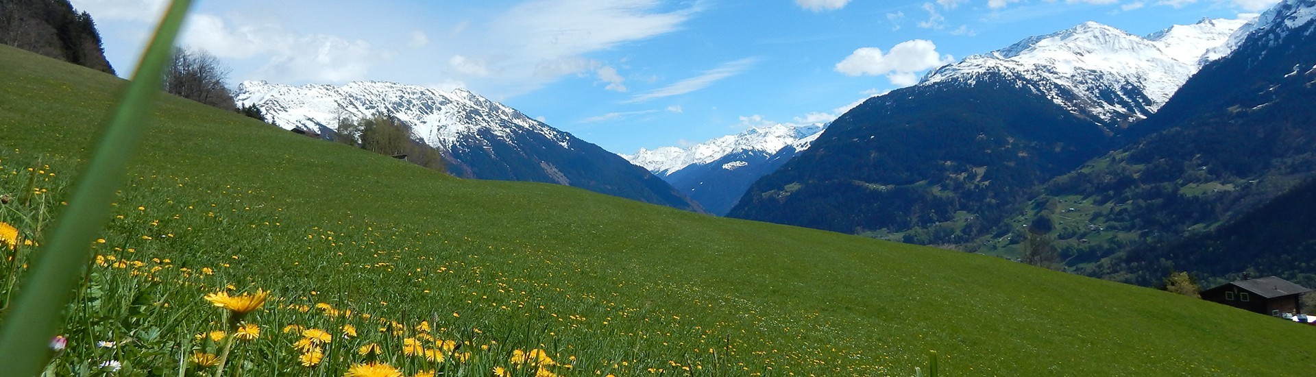 hotel-bergerhof-montafon-sommer-21