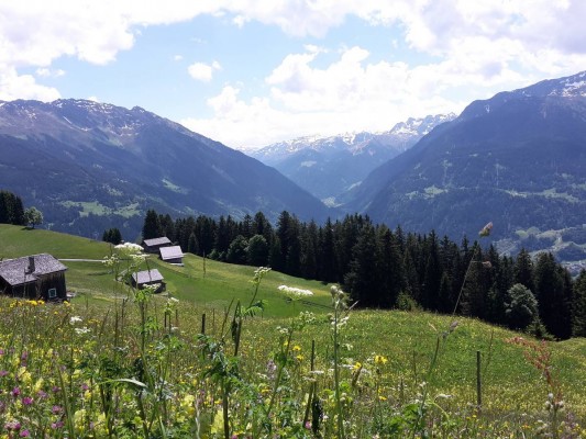 hotel-bergerhof-montafon-natur-1