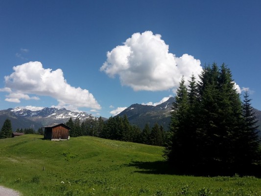 hotel-bergerhof-montafon-natur-4