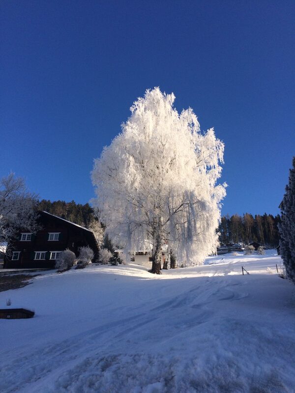Winteraussicht vom Hotel
