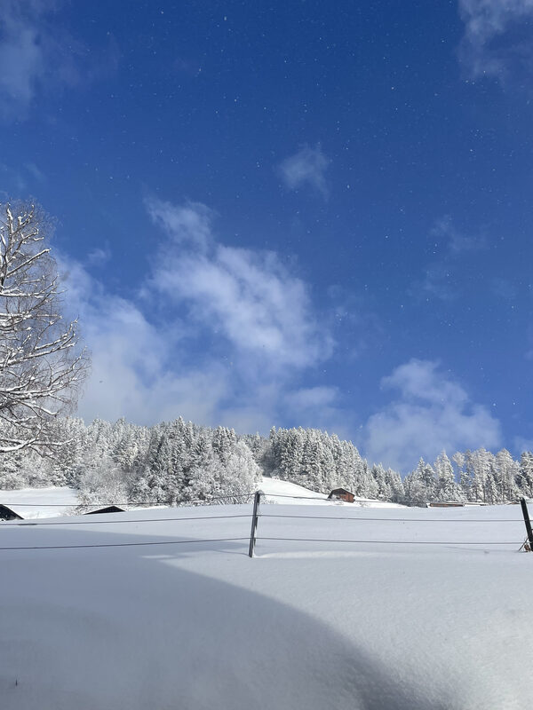 Winter in Bartholomäberg