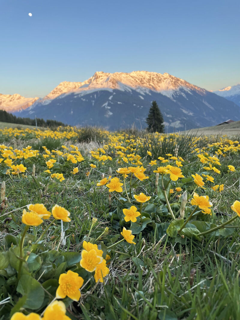 Natur im Montafon